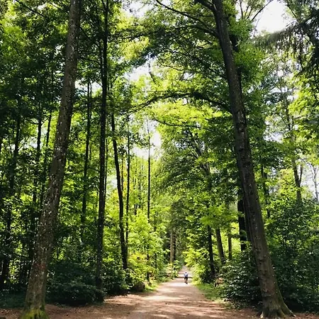 -theurbanist- Appartement