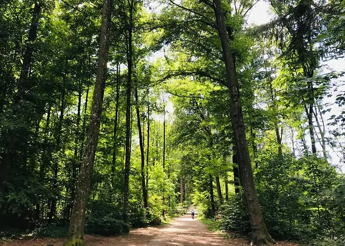 -theurbanist- Appartement