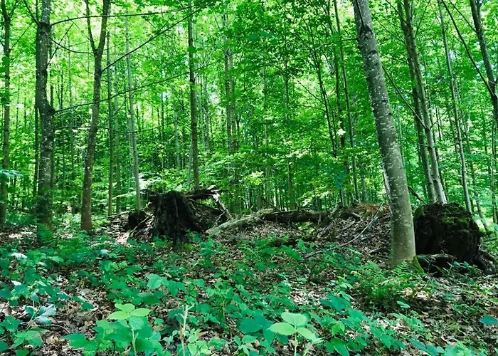 -theurbanist- Appartement *